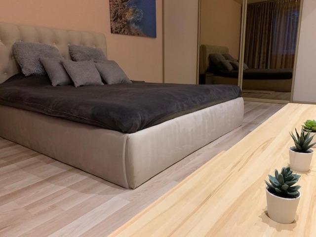 Oak Lounge Lux Apartment Riga Exteriör bild